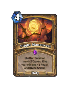 飛行機動 Flight Maneuvers